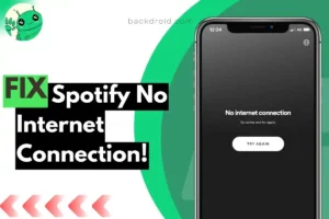 screenshot of spotify app which shows no internet connection