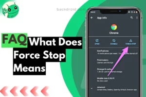 screenshot of force stopping an app from settings with text what does force stop app means